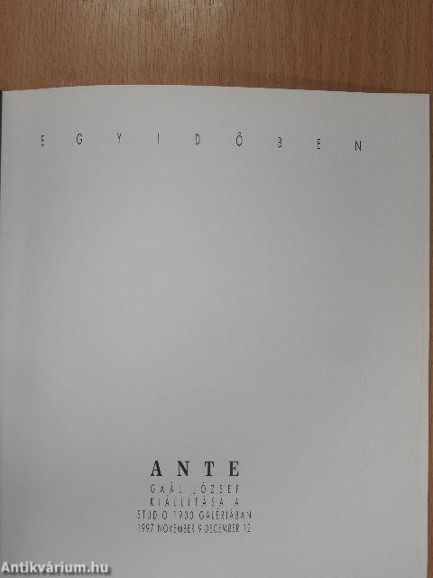 Gaál József kiállítása - ANTE