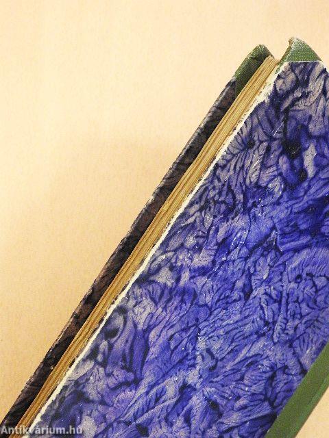 A czigánybáró/Minden poklokon keresztül