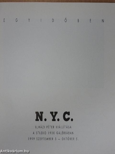 Ujházi Péter kiállítása - N. Y. C.