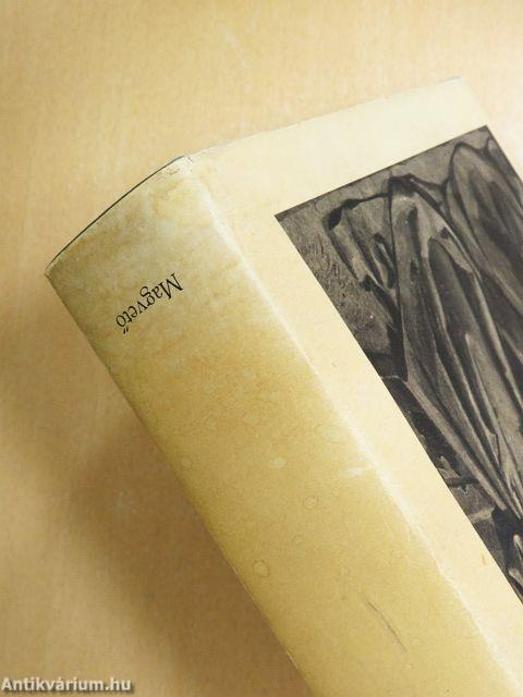 Az elátkozott Buda/Buda aranykora