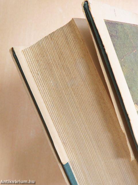 Az elátkozott Buda/Buda aranykora