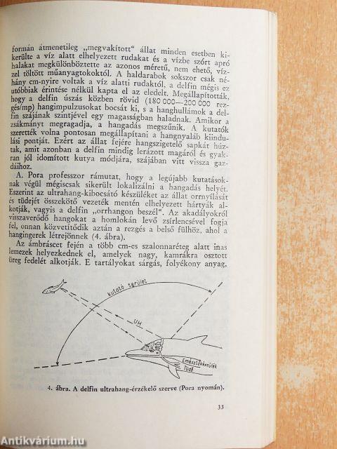 Tájékozódás és hírközlés az állatvilágban