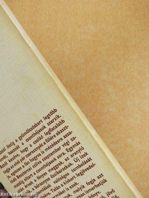 Gyermekeink táplálása