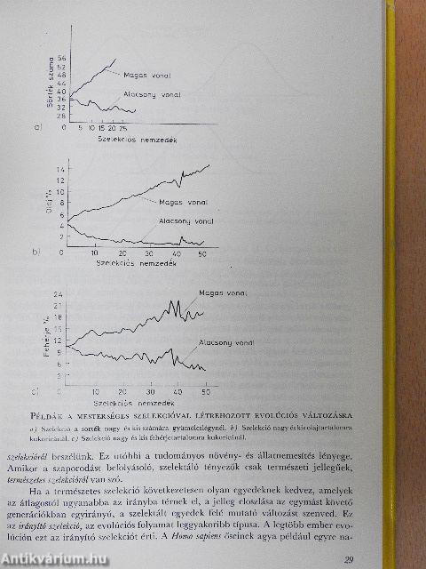 Szociobiológia és viselkedés
