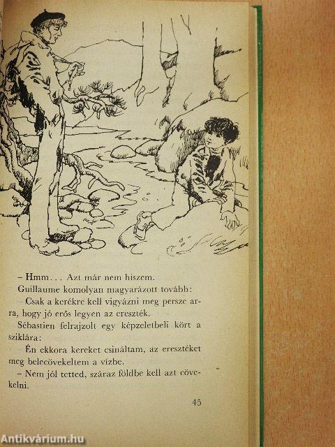 Belle és Sébastien