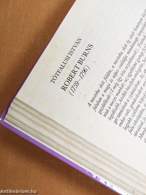 88 híres vers a világirodalomból