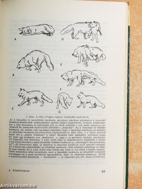 Állatlélektan