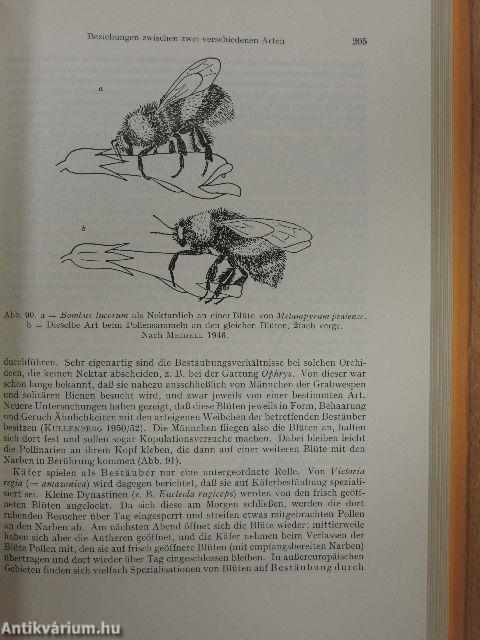 Grundriss der Ökologie