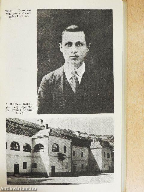 Sipos Domokos