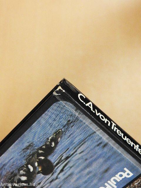 Photographieren und Filmen von Wild und Vögeln