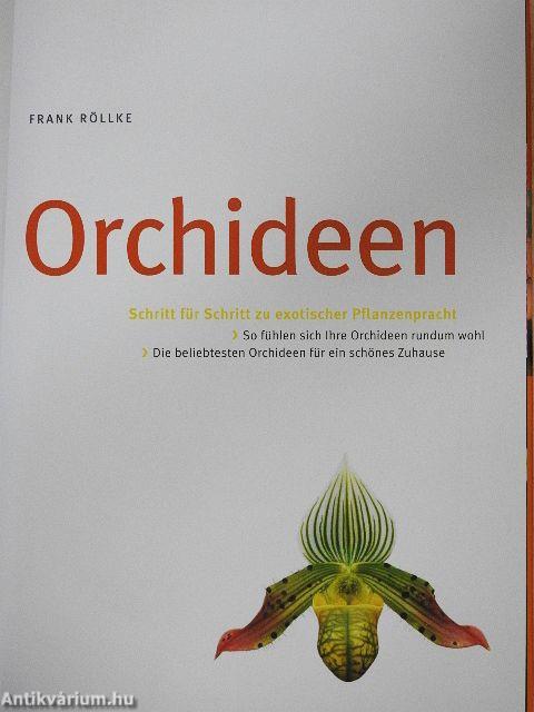 Orchideen