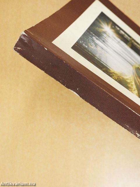 Küldetésben a Szűzanyáért!