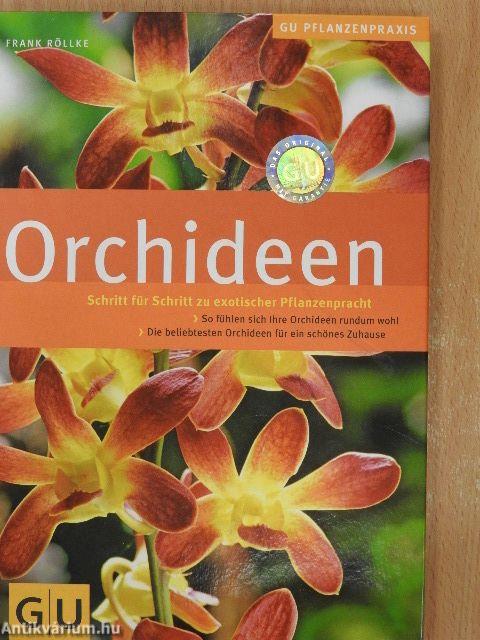 Orchideen