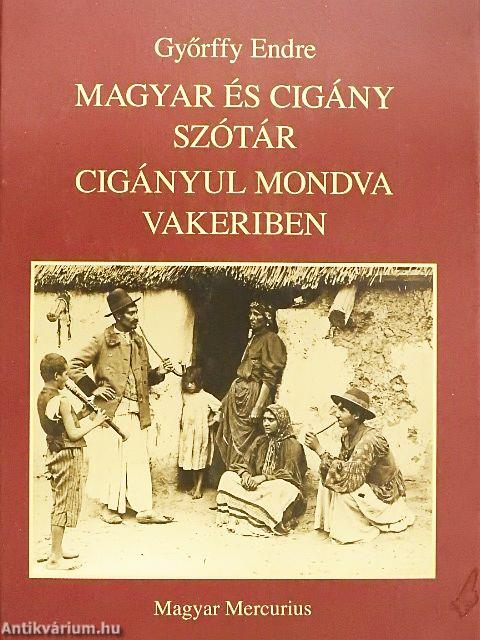 Magyar és cigány szótár