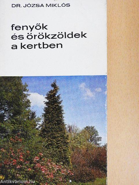 Fenyők és örökzöldek a kertben
