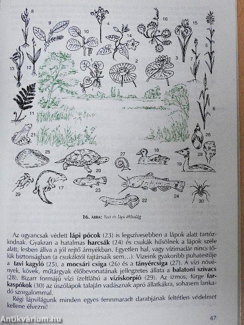 Természet- és környezetvédelem