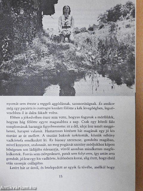 Igazmondó aranyolló