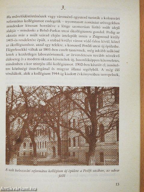 Régi erdélyi skólák