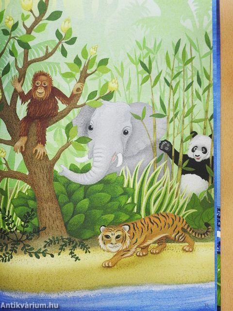 A kis panda csodálatos utazása