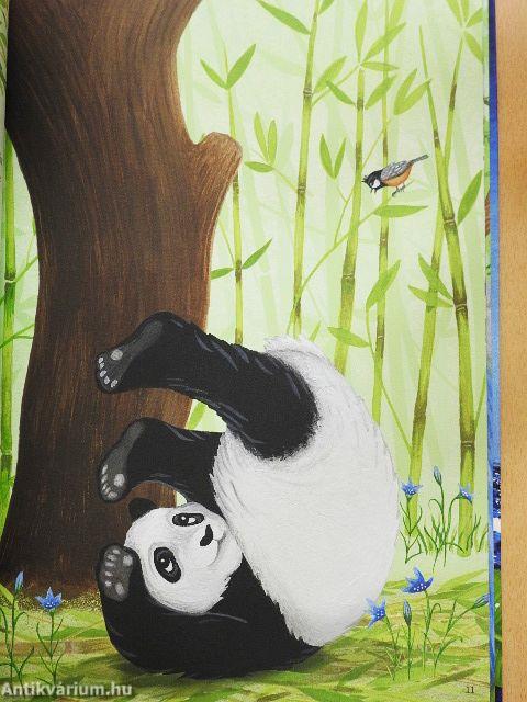 A kis panda csodálatos utazása