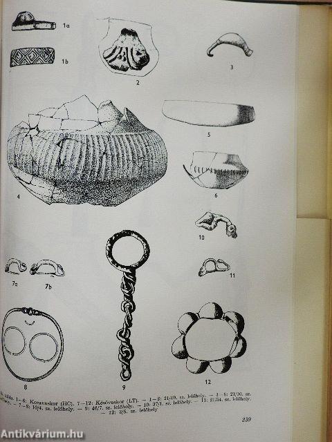 Veszprém megye régészeti topográfiája