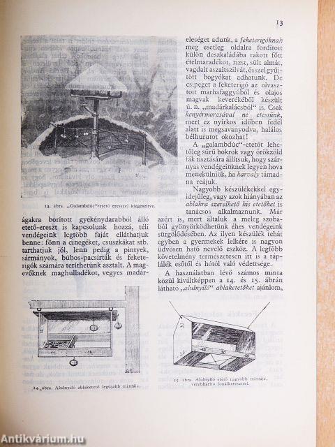 Madárvédelem a kertben