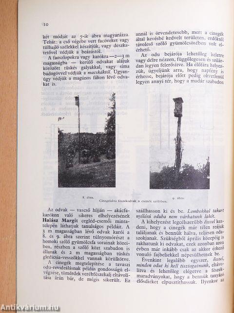 Madárvédelem a kertben