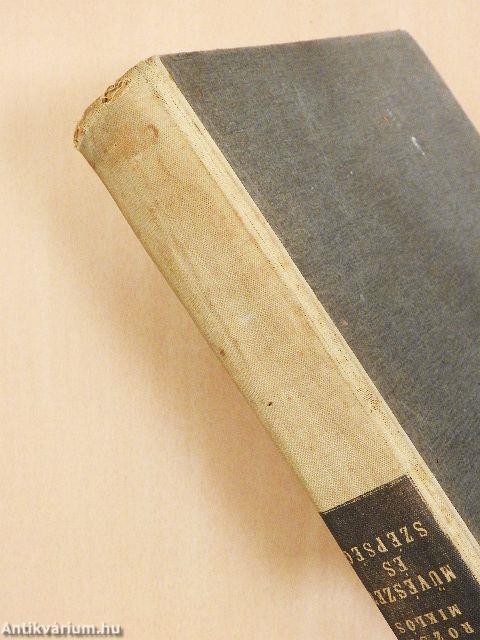 Művészet és szépség