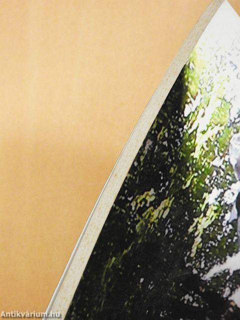 Tizenkét év kőben és ércben