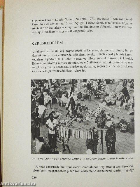 Afrika számol