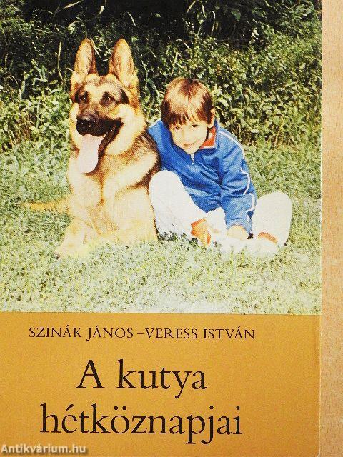 A kutya hétköznapjai