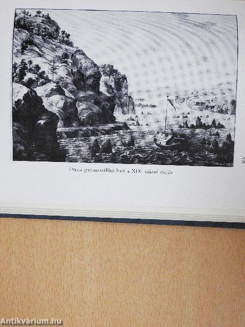 Az arany ember I-II.