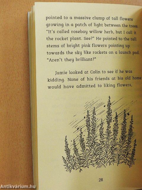 The House With No Name