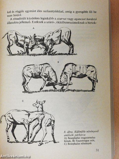 Agresszió az élővilágban