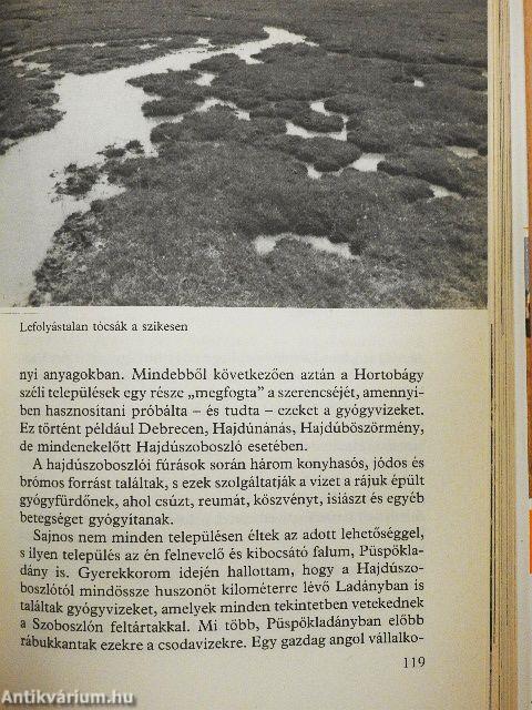 Vadregényes pusztaság