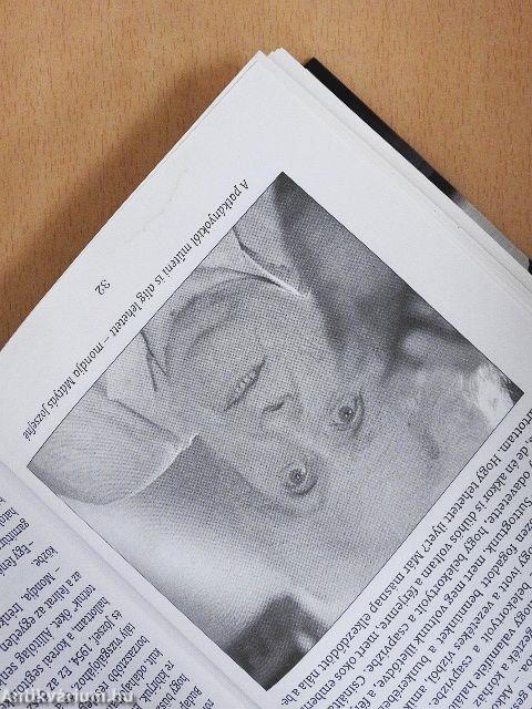 Utolsó pokoli történetek