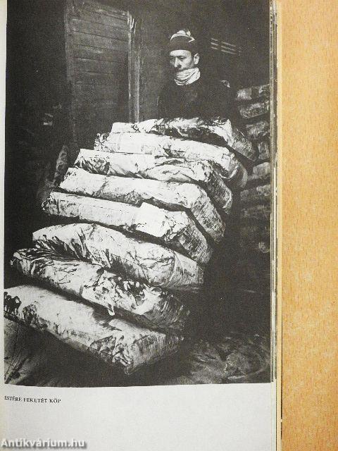 Akit a mozdony füstje megcsapott...