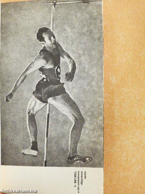 Magasabbra, messzebbre