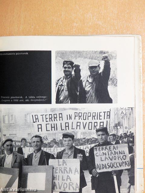 A keserű méz szigetén