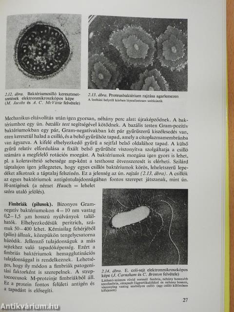 Mikrobiológia és immunitástan (dedikált példány)
