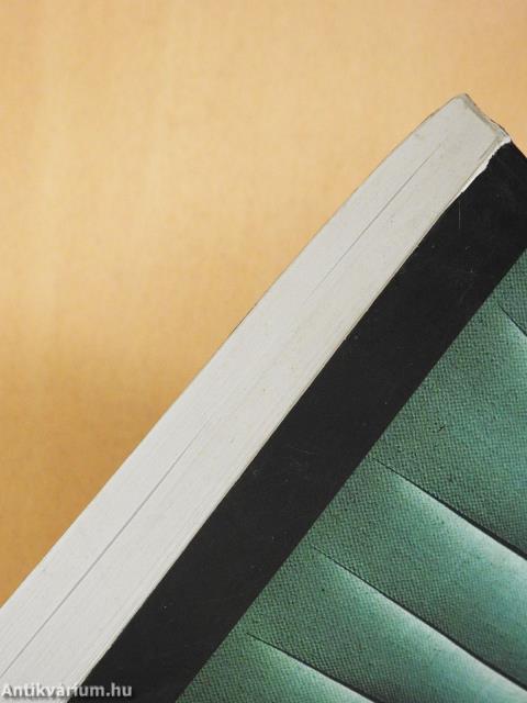 Etnopolitika - a konfliktustól a méltányosságig (dedikált példány)