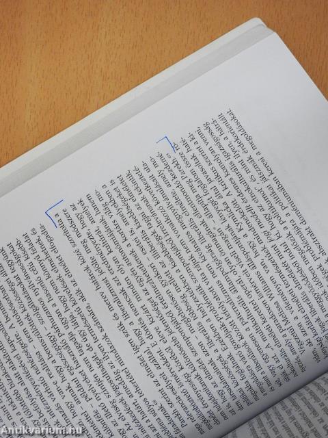 Etnopolitika - a konfliktustól a méltányosságig (dedikált példány)