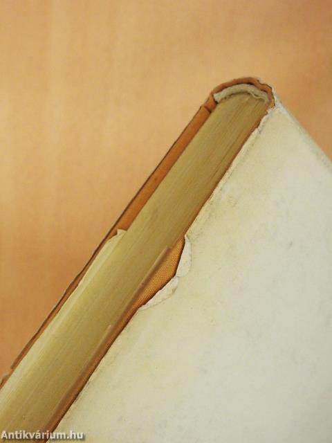 Részeg kutya (dedikált példány)