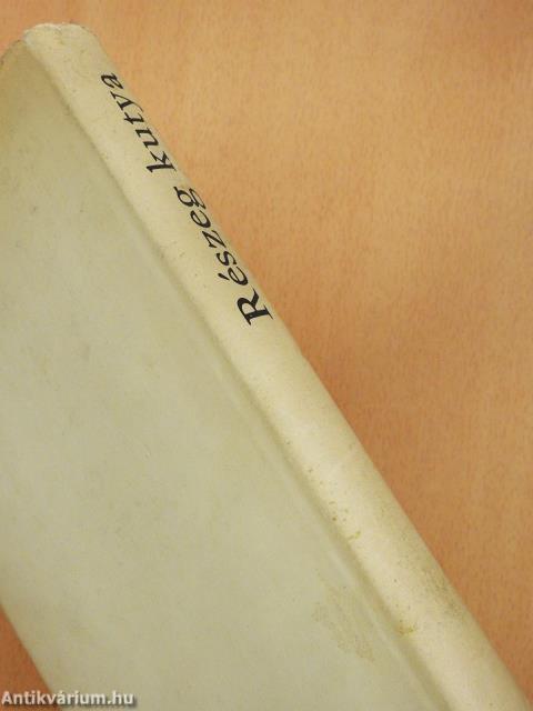 Részeg kutya (dedikált példány)