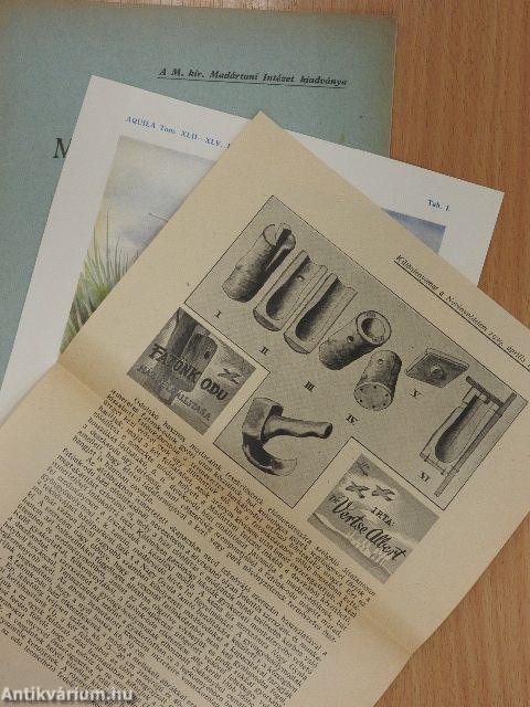 Madárvédelem a kertben