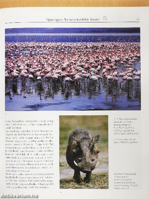 A világ természeti csodái és kultúrkincsei 1-9.