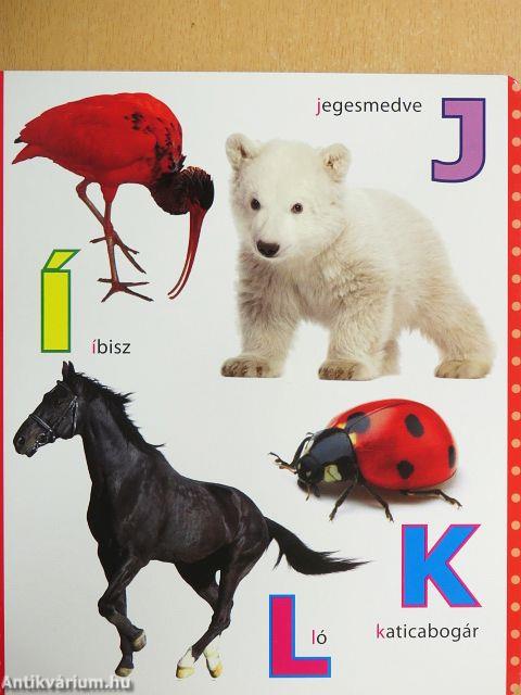 Állatábécé