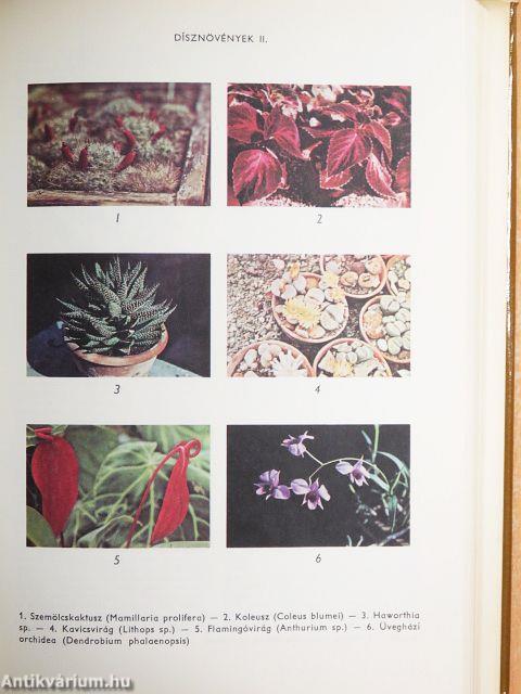 Biológiai lexikon 1-4./Kiegészítő az 1-4. kötethez