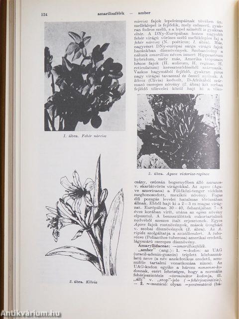 Biológiai lexikon 1-4./Kiegészítő az 1-4. kötethez