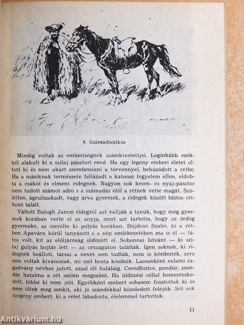 Nagykunsági krónika